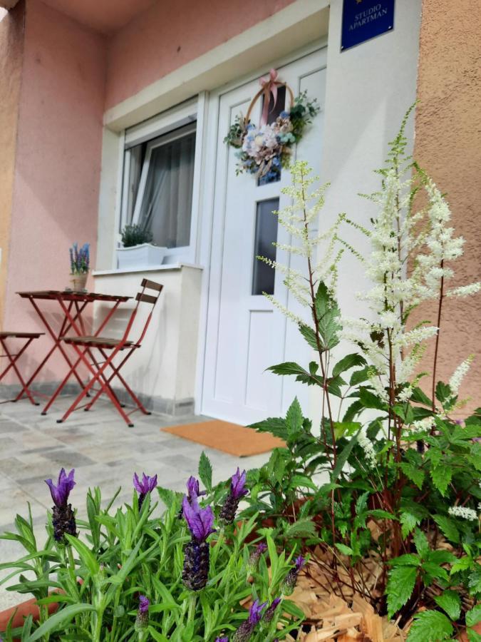 Apartmani Venium Križevci Dış mekan fotoğraf