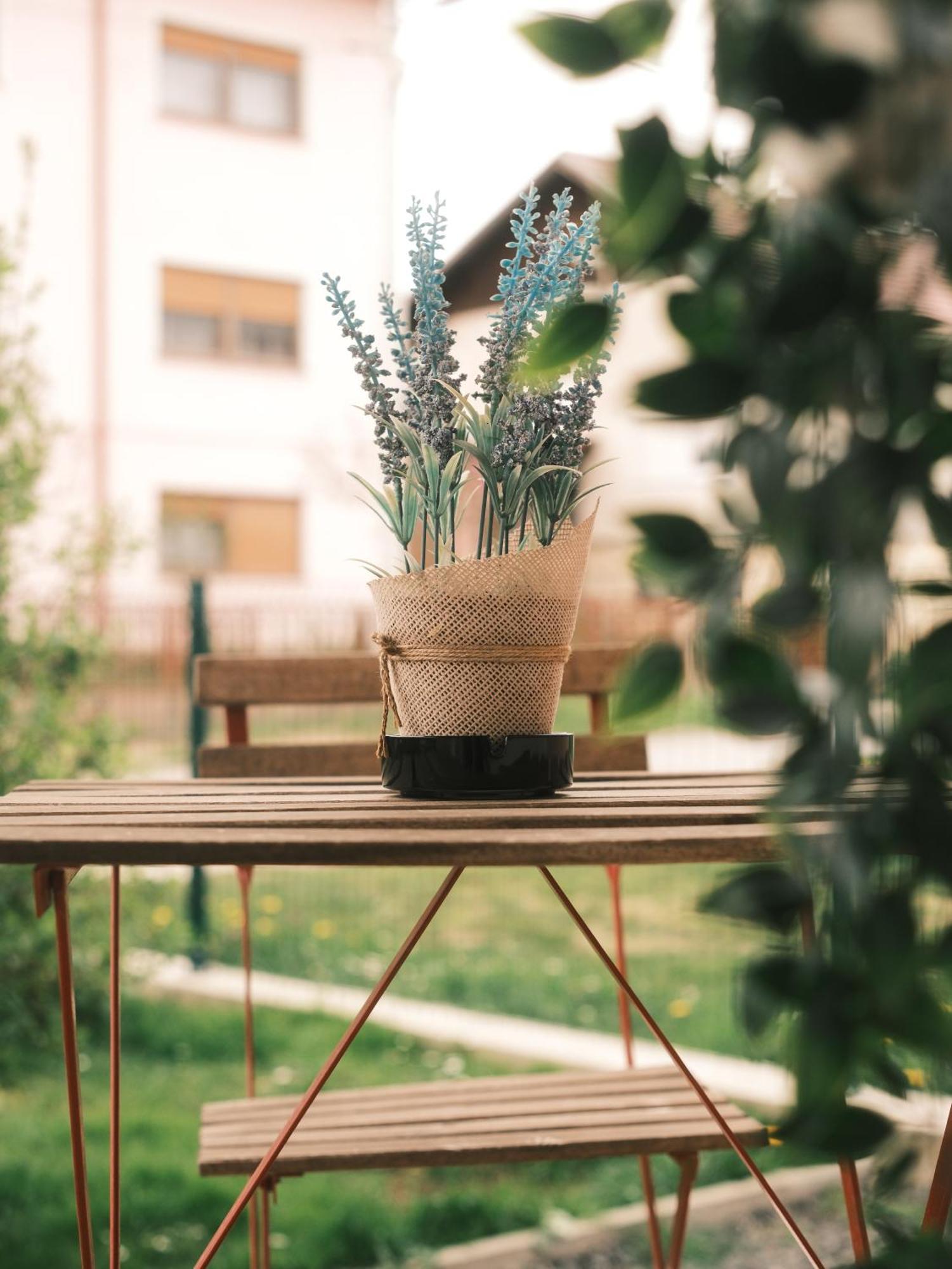 Apartmani Venium Križevci Dış mekan fotoğraf
